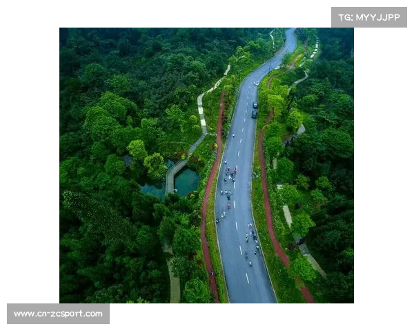 大型空手道赛事助推举办地体育旅游消费与城市活力提升路径研究